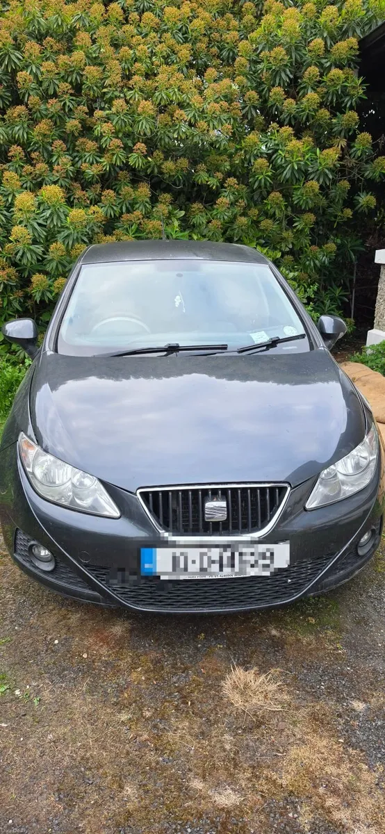 SEAT Ibiza 2010 - Image 3
