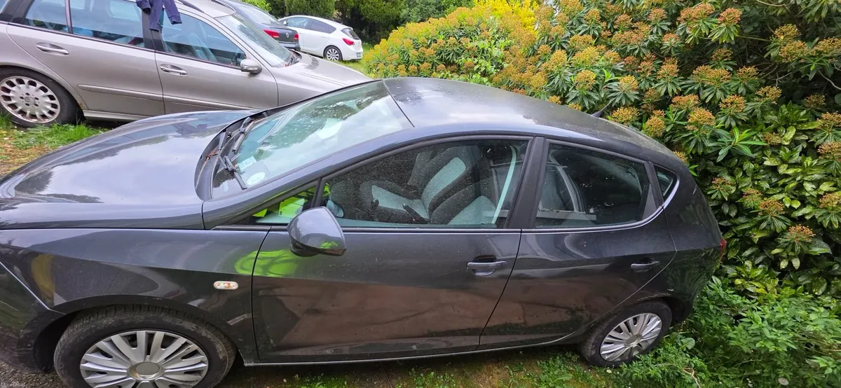 SEAT Ibiza 2010 - Image 4