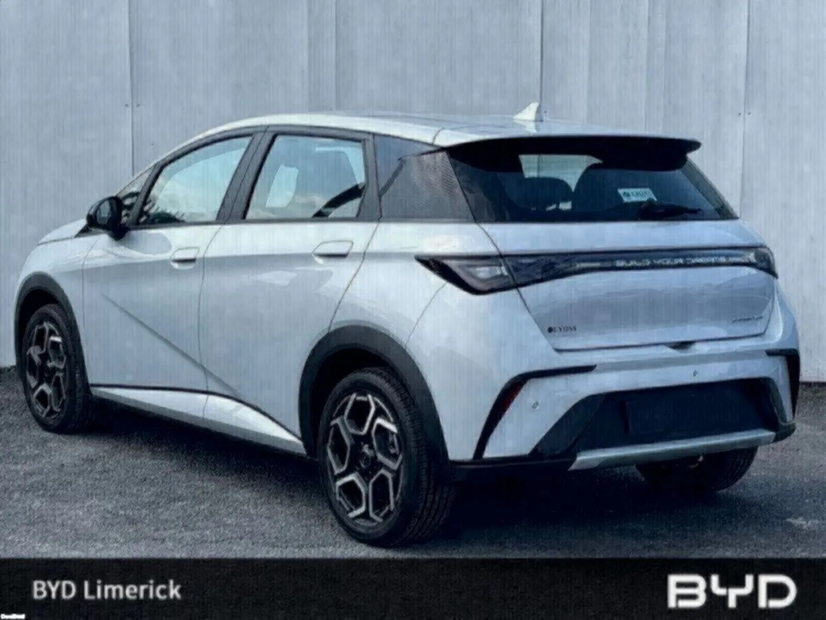 BYD DOLPHIN 1.0 - Image 3