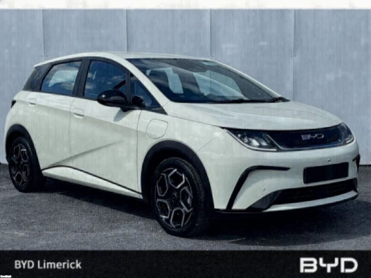 BYD DOLPHIN 1.0 - Image 1