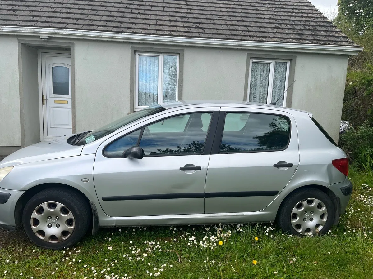 Peugeot 307 - Image 2