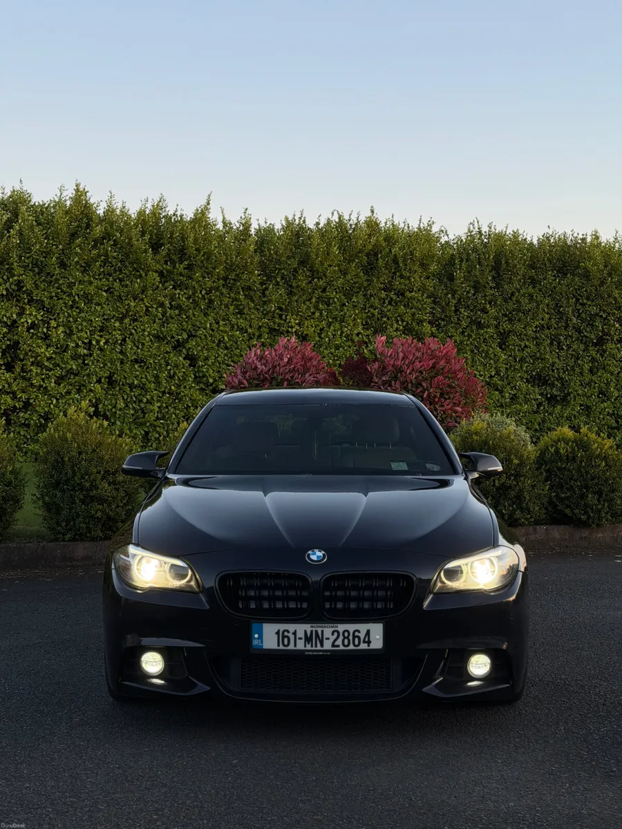 BMW 5-Series 2016 530D M-SPORT - Image 3
