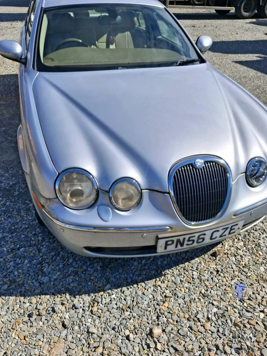 Jaguar - Image 1