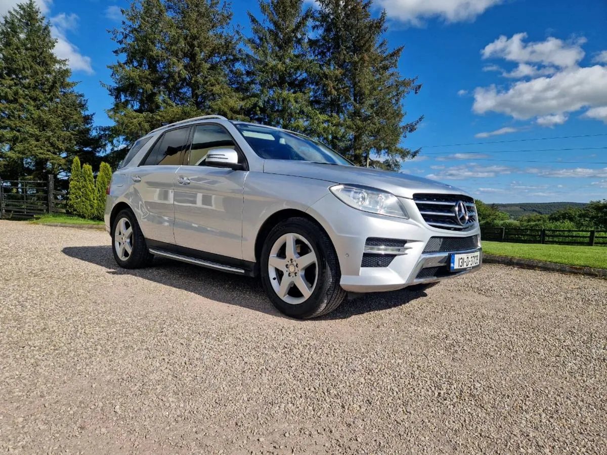 2013 ML - Image 1