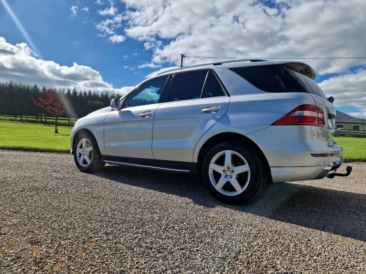 2013 ML - Image 3