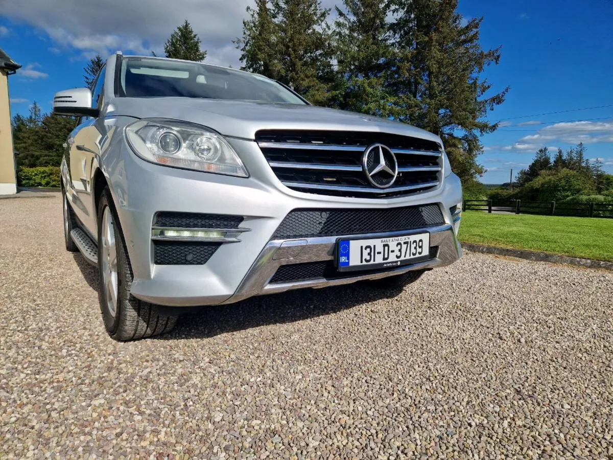 2013 ML - Image 4