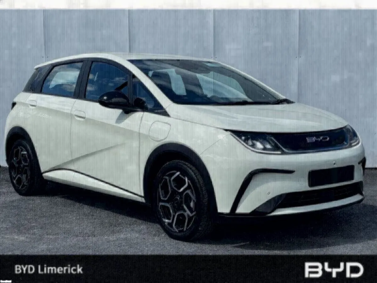 BYD DOLPHIN 1.0 - Image 1