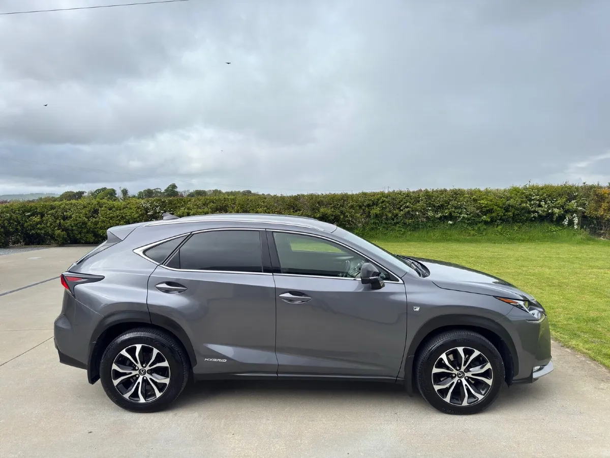 Lexus NX300 Hybrid - Image 3