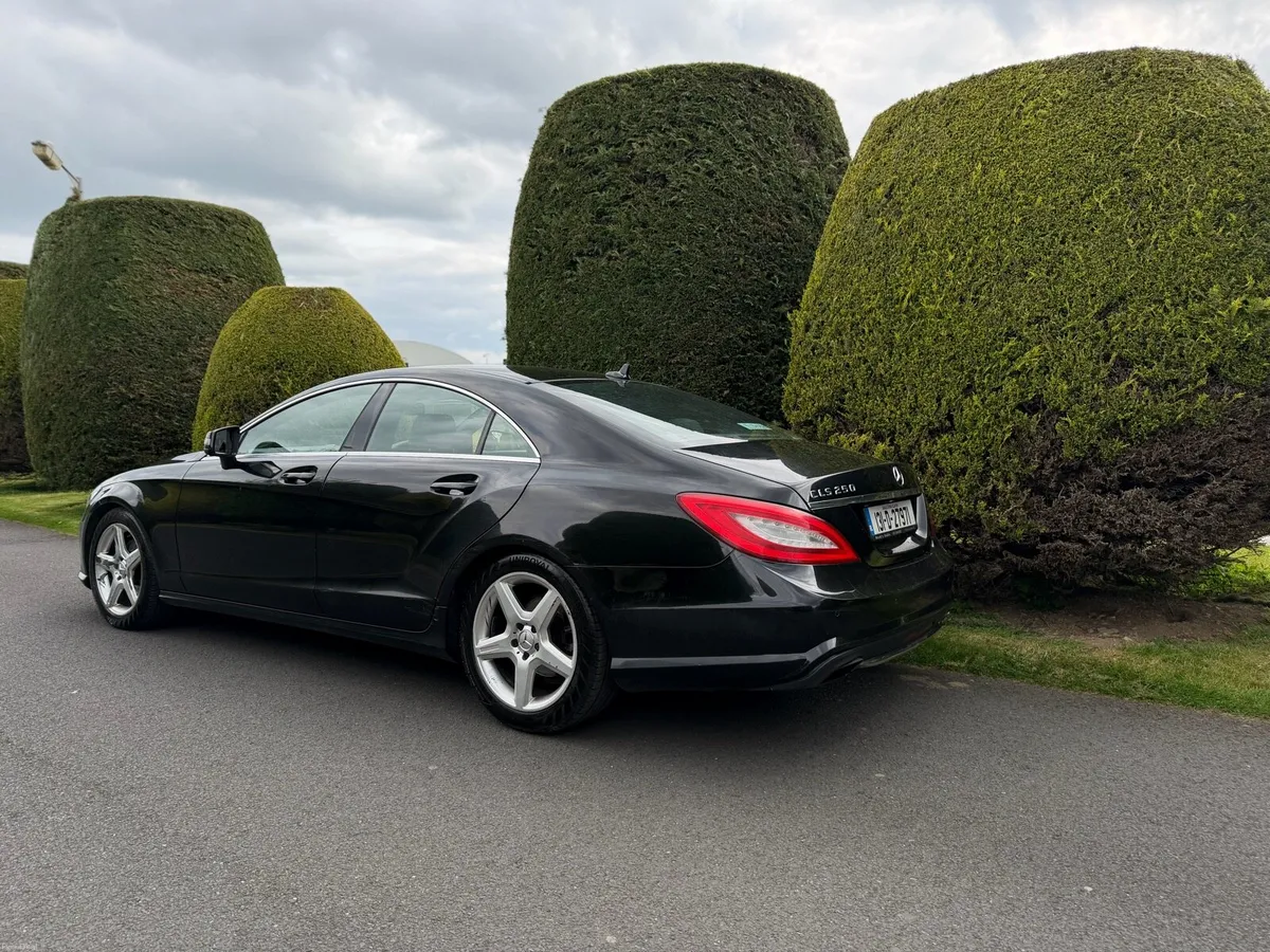 2013 Cls250 New NCT - Image 4