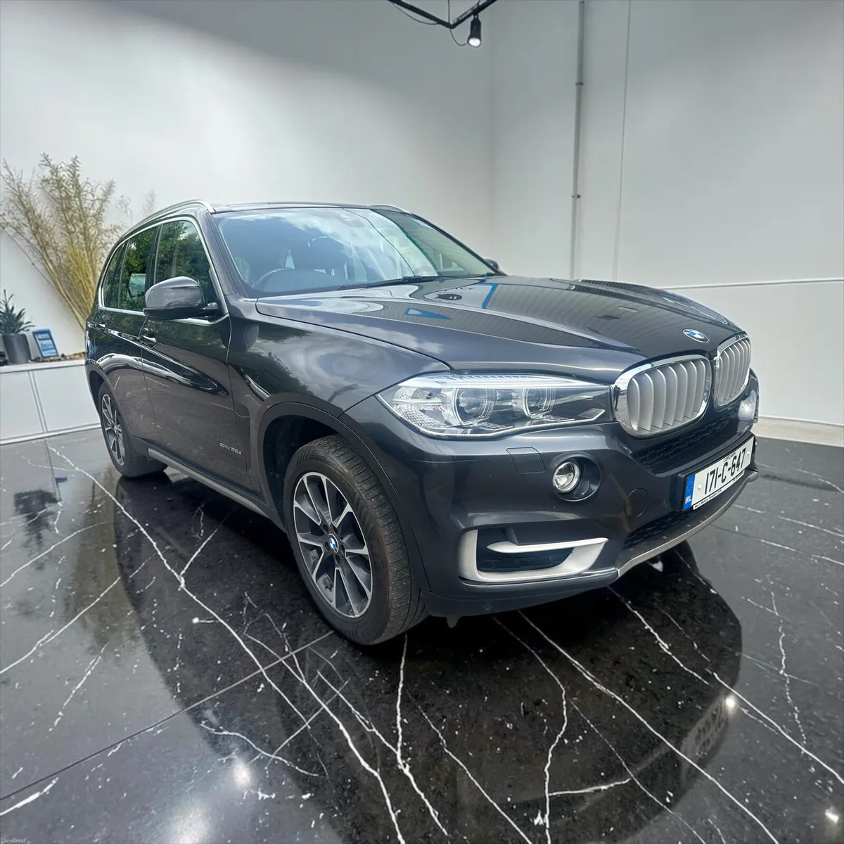 BMW X5 2.0 Diesel  sDrive25d SE - Image 5