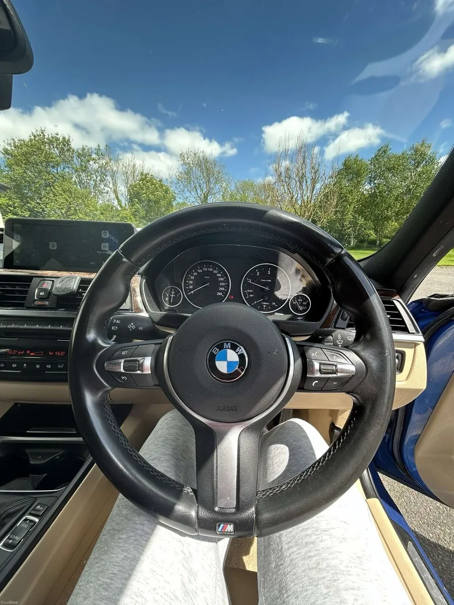 BMW 318d f30 - Image 6