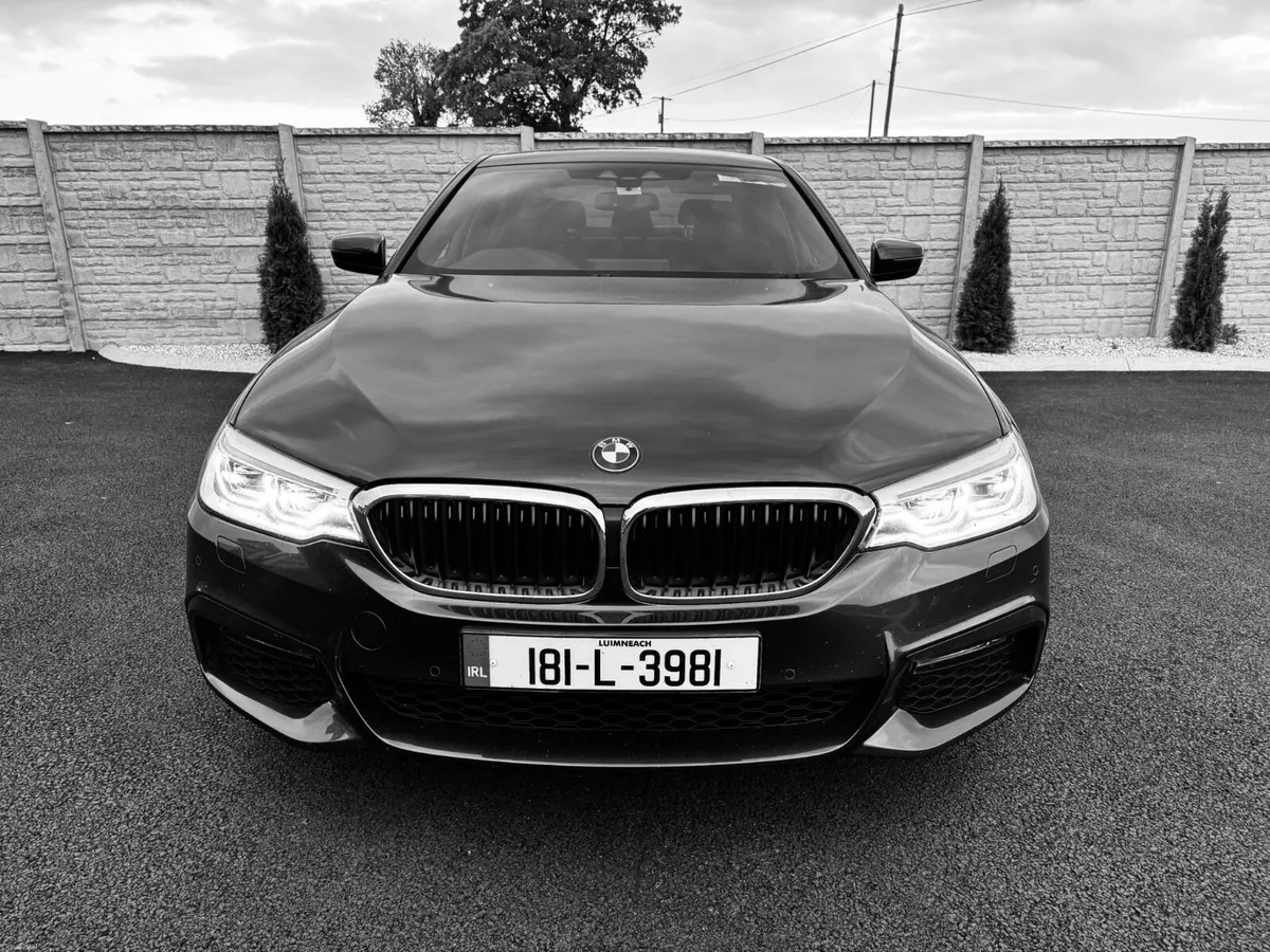 181 530D X Drive 1 Owner Full service history - Image 2