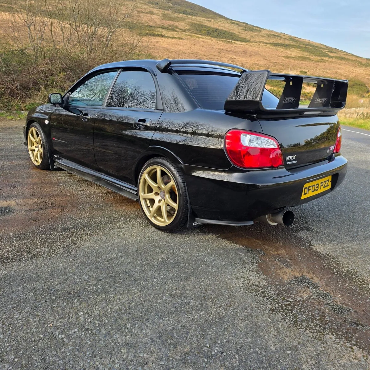 STI - Image 3