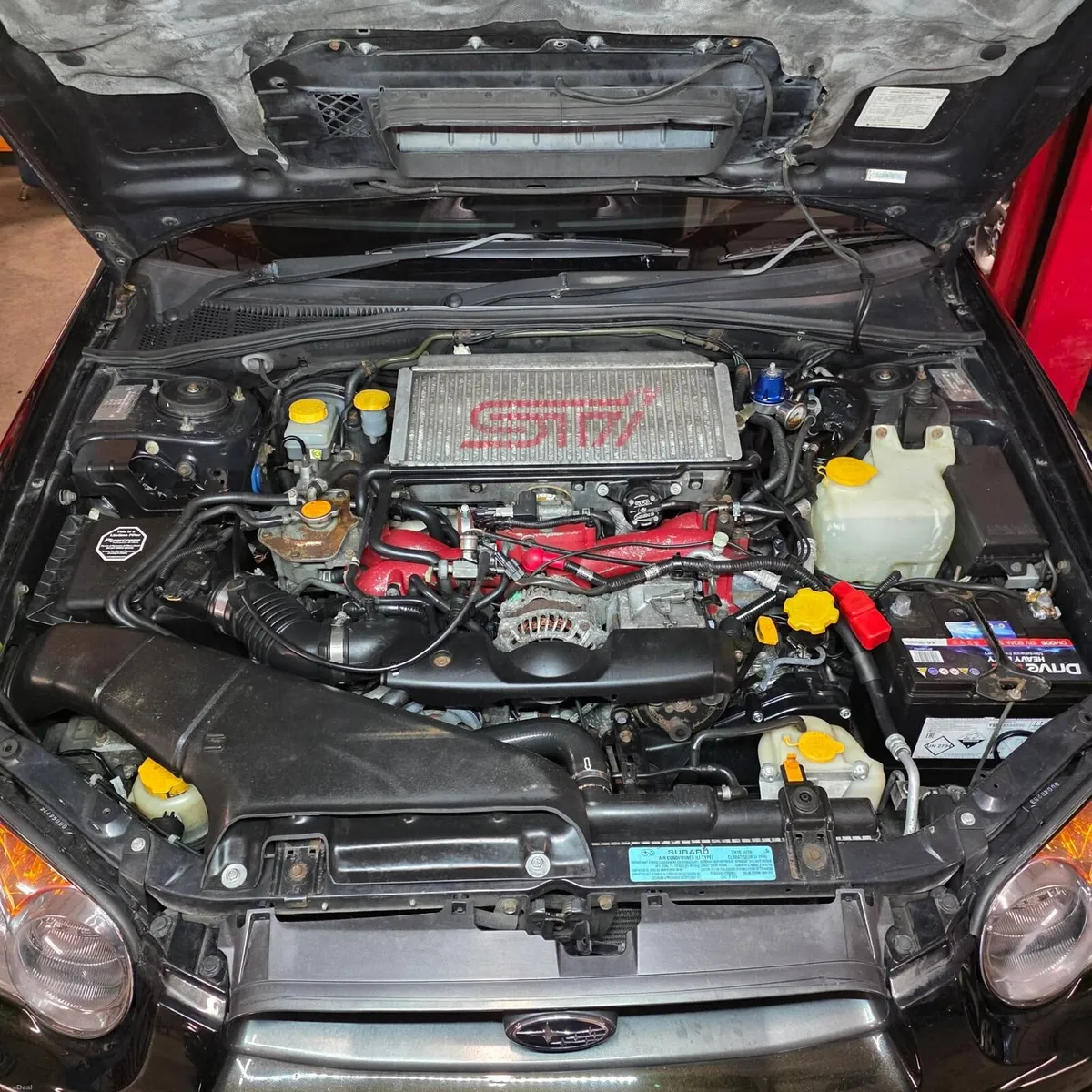 STI - Image 6