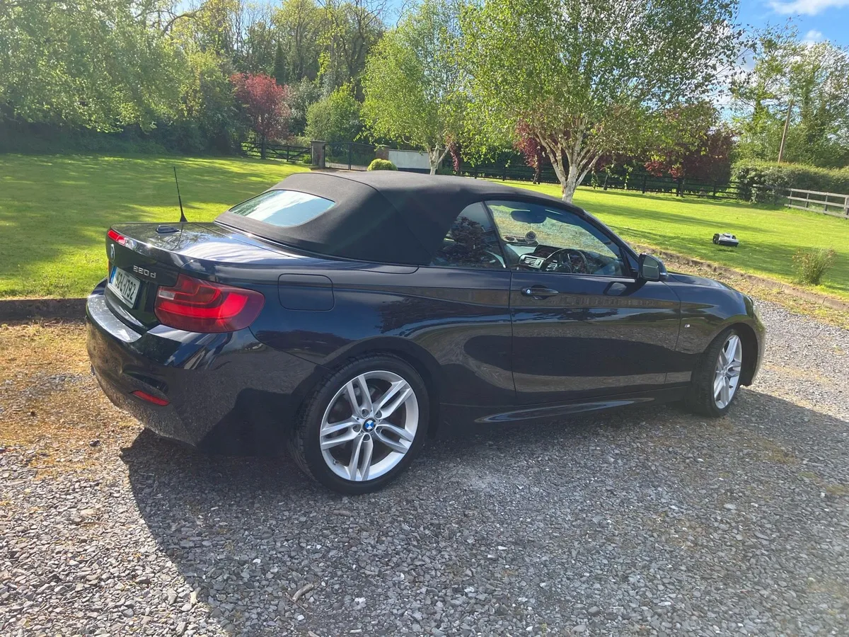 BMW 220 M Sport Convertible - Image 4