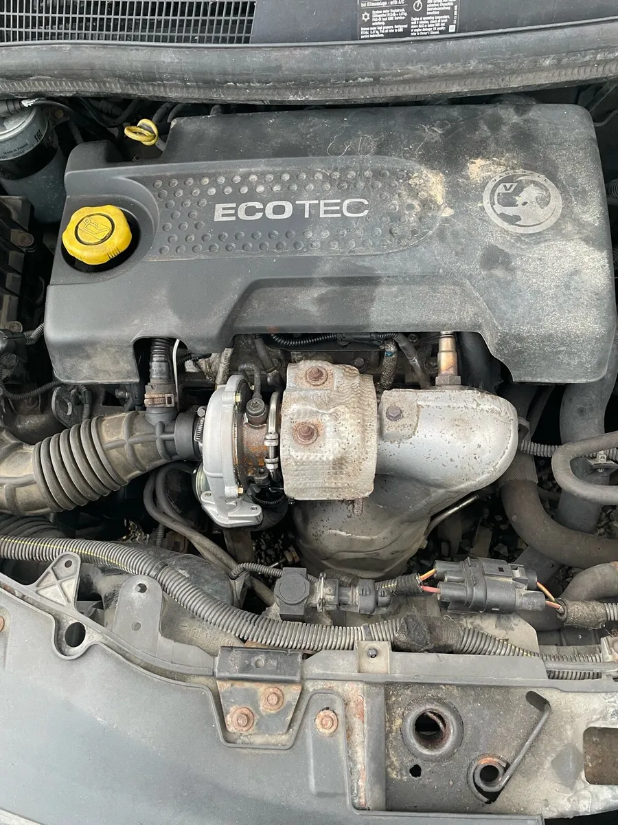 Corsa - Image 3
