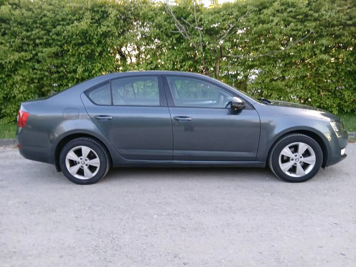 2017 Skoda Automatic 1.6TDI Diesel - Image 3