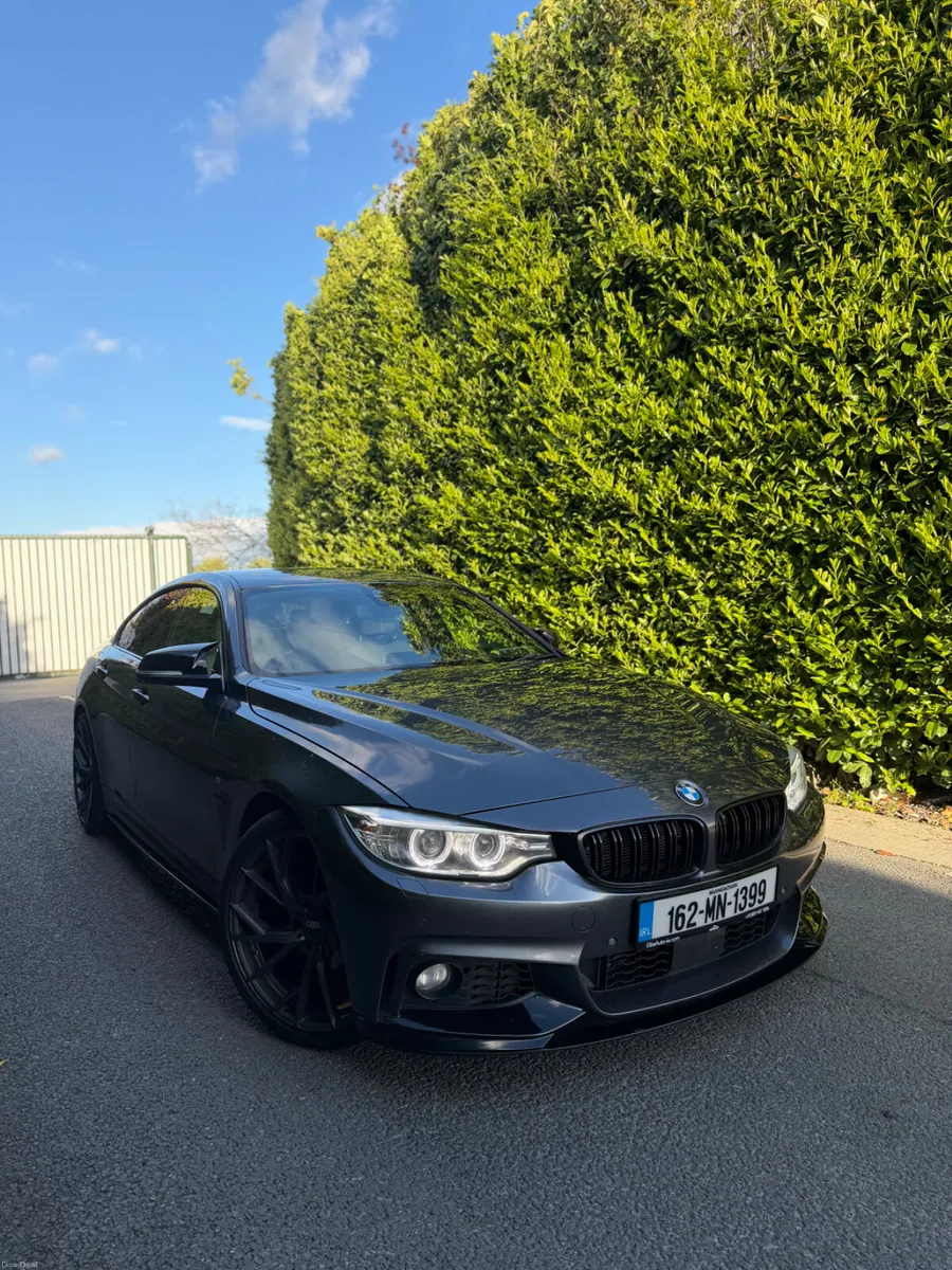 2016 BMW 420d M SPORT - Image 1