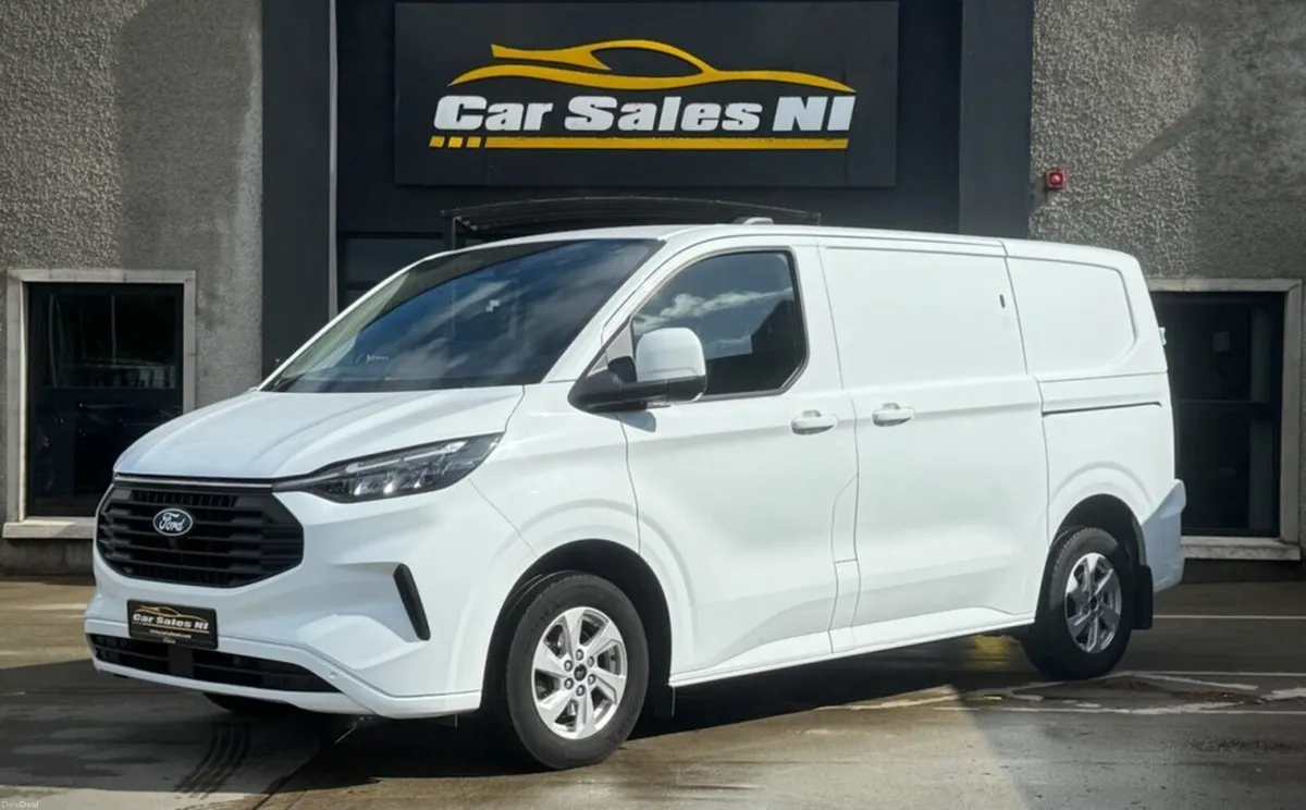 2.0 280 EcoBlue Limited Panel Van 5dr Diesel Manua - Image 2