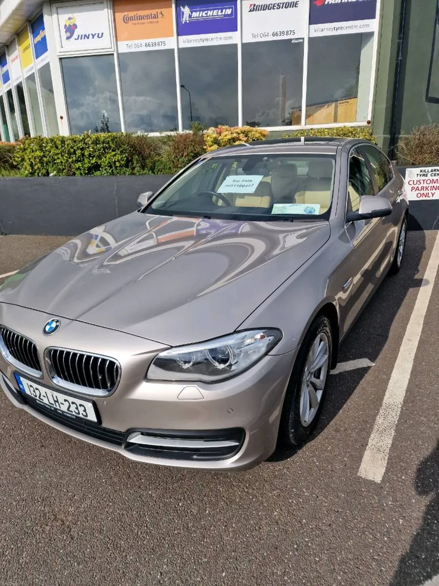 BMW 518d 106k kilometres - Image 2