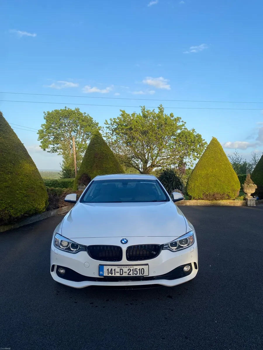 BMW 420D 2L Diesel - Image 3