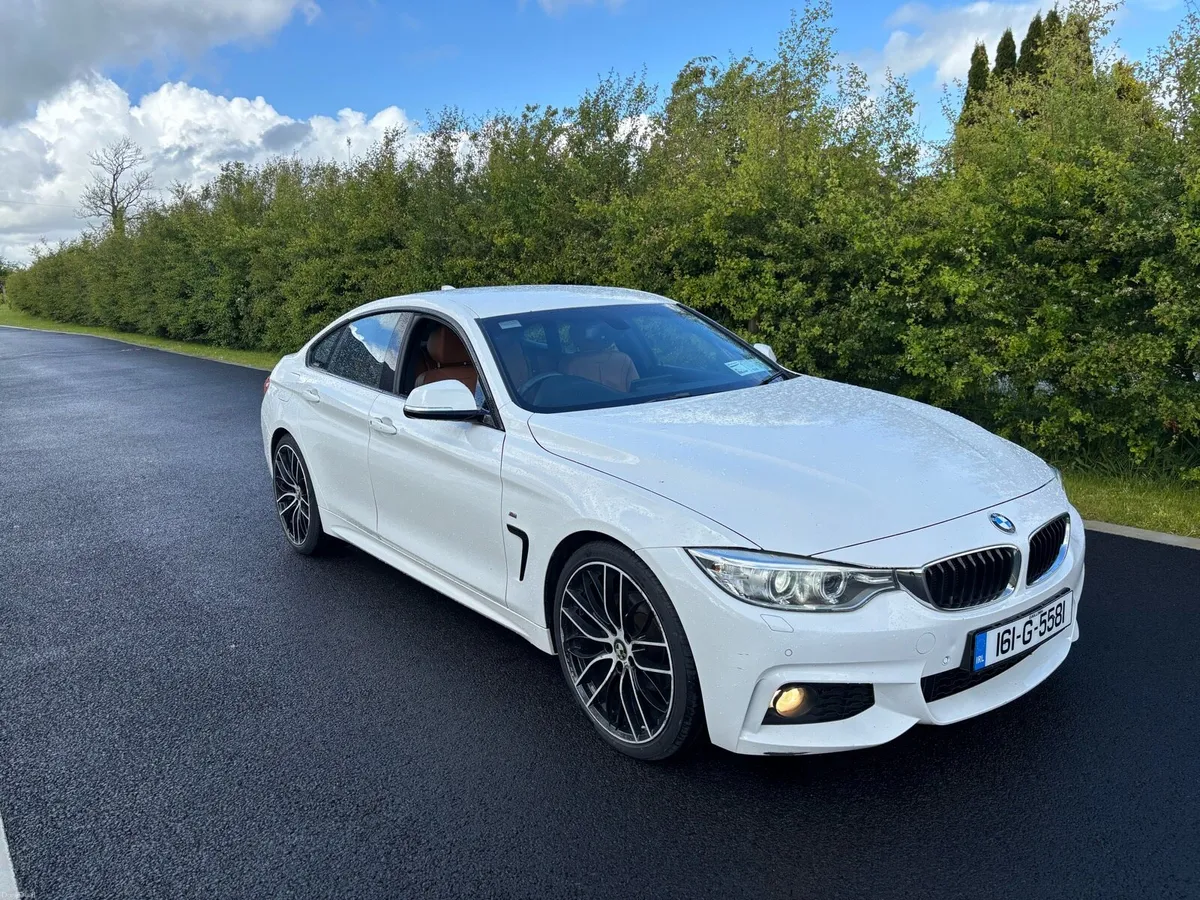 BMW 420d M-Sport Automatic 2016 - Image 2