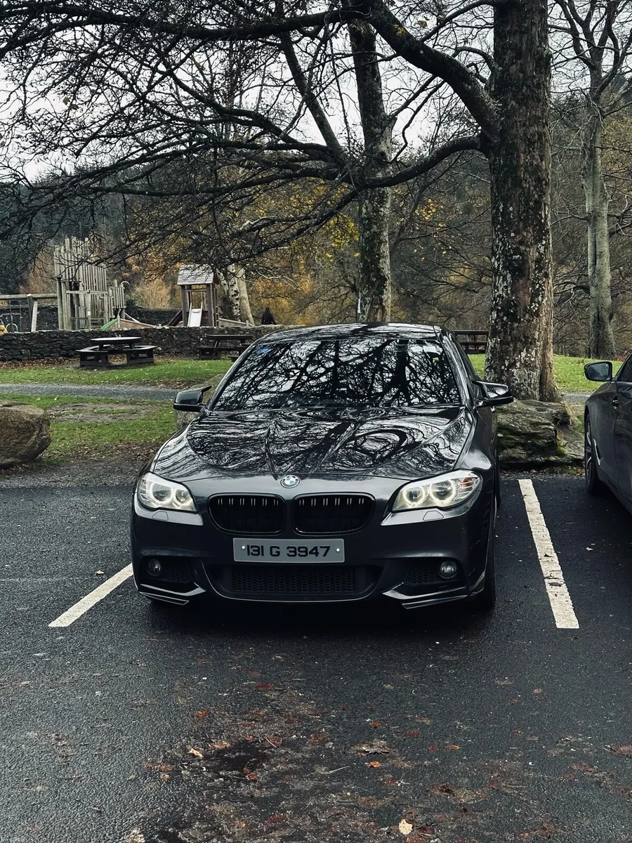BMW520 - Image 1