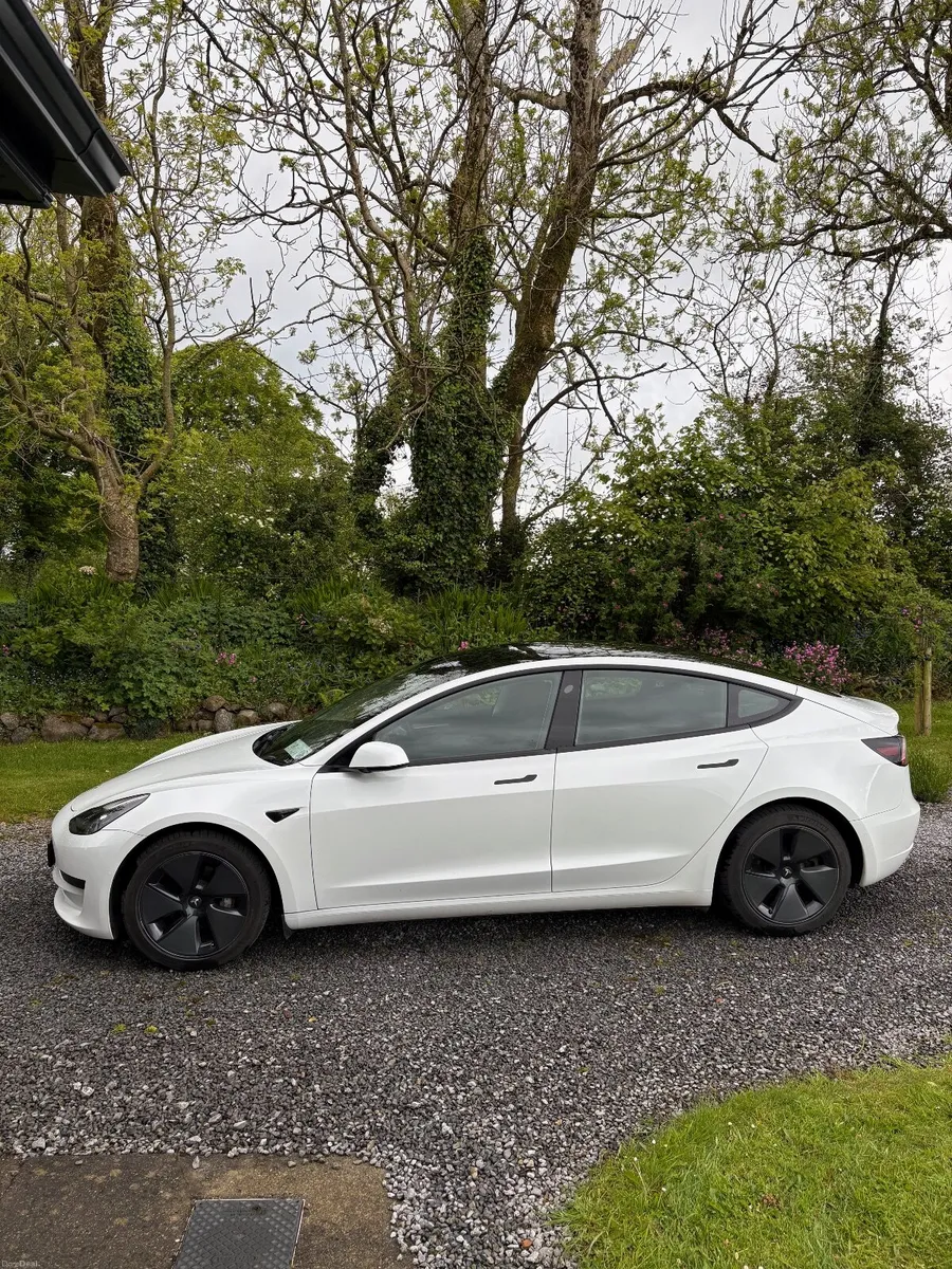 2021 Tesla Model 3 RWD - Image 3