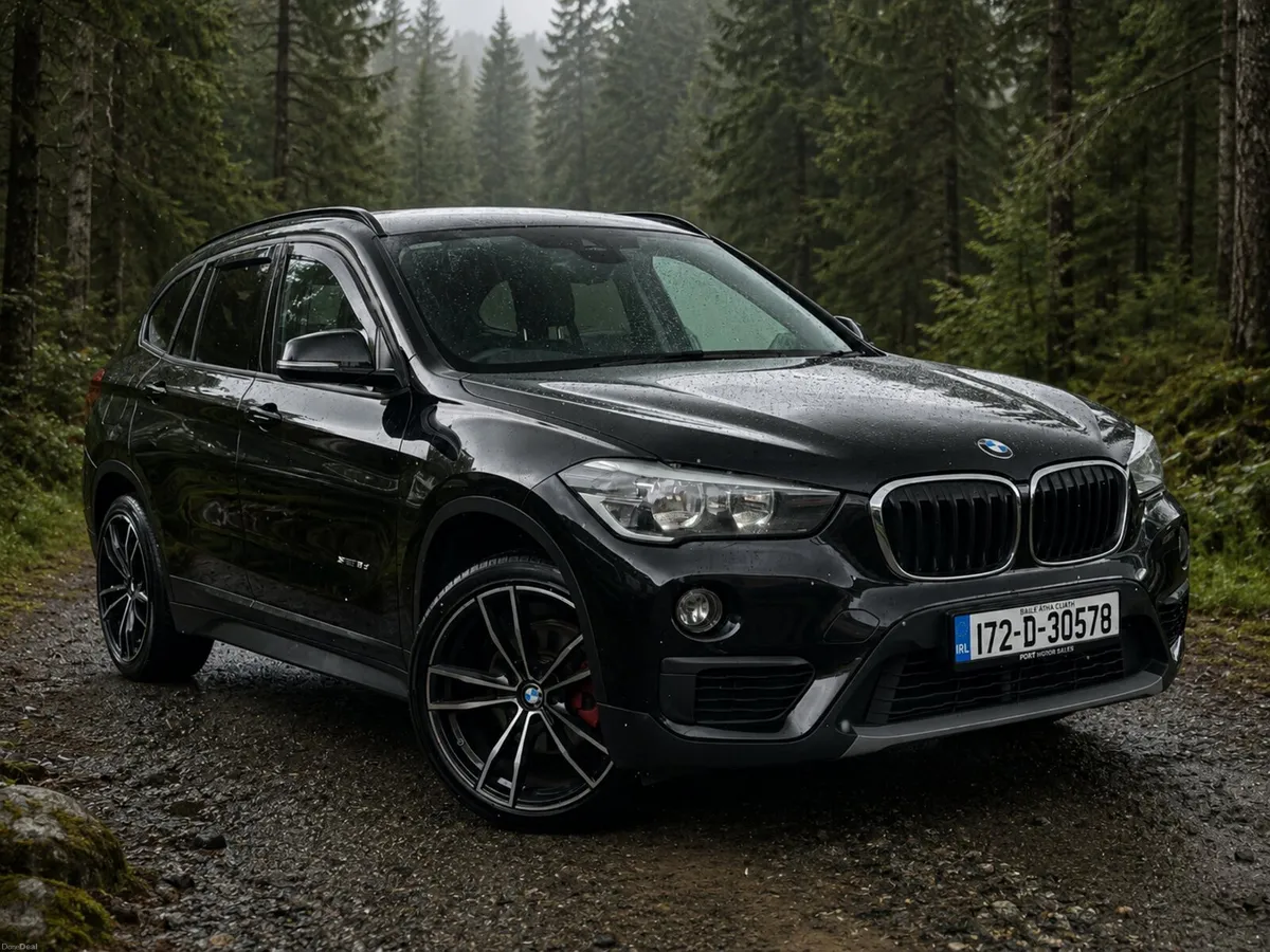 171 BMW X1 2.0D SE S-DRIVE / MANUAL - Image 1