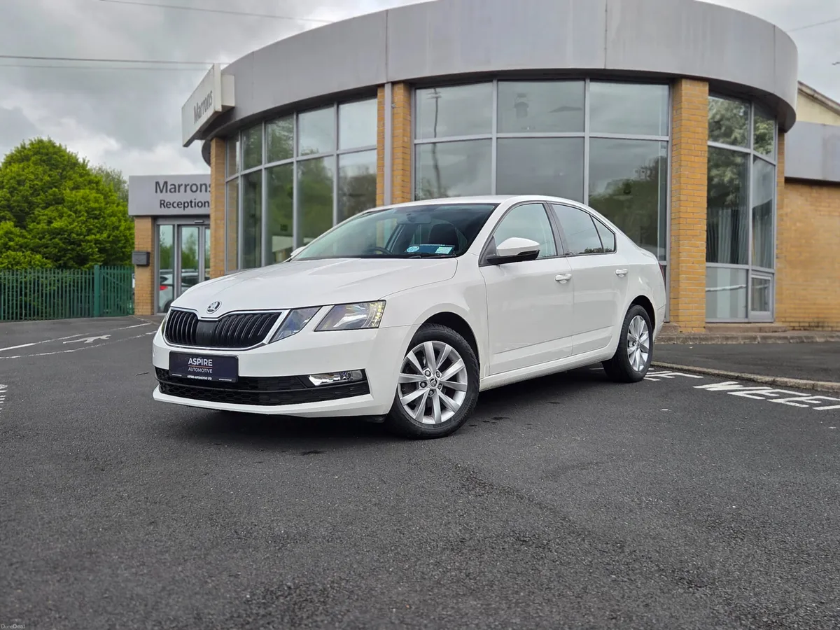 Octavia TDI Face-Llift - Serviced & Timing Belt - Image 1