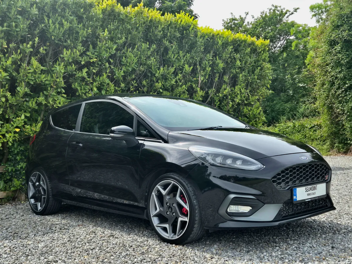 2019 Ford Fiesta ST-3 - Full Service History - Image 3