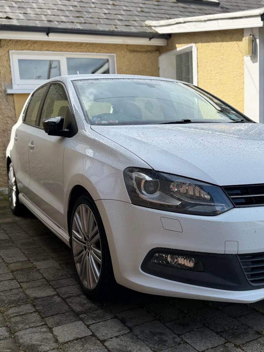 POLO BLUE GT - Image 1
