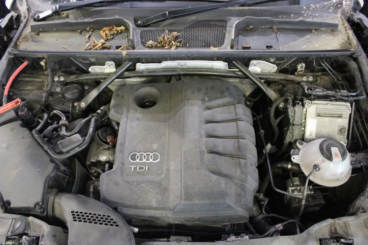 Audi Q5 2.0TDI 190 quattro S-Tronic S Line - TENDE - Image 4