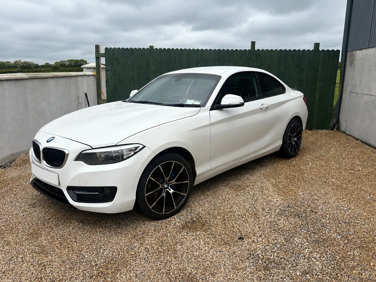 BMW 218d Sports Coupe - Image 1