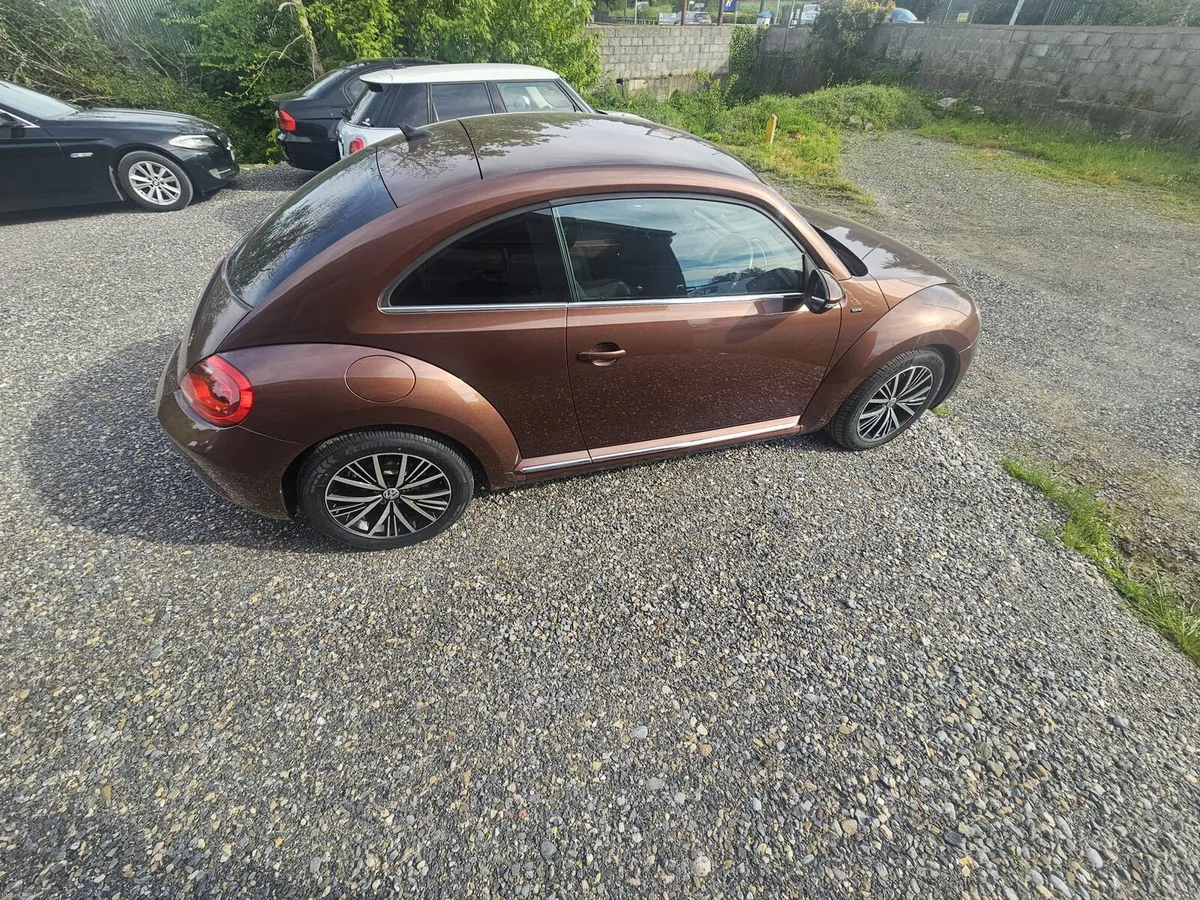 Volkswagen Beetle - Image 2
