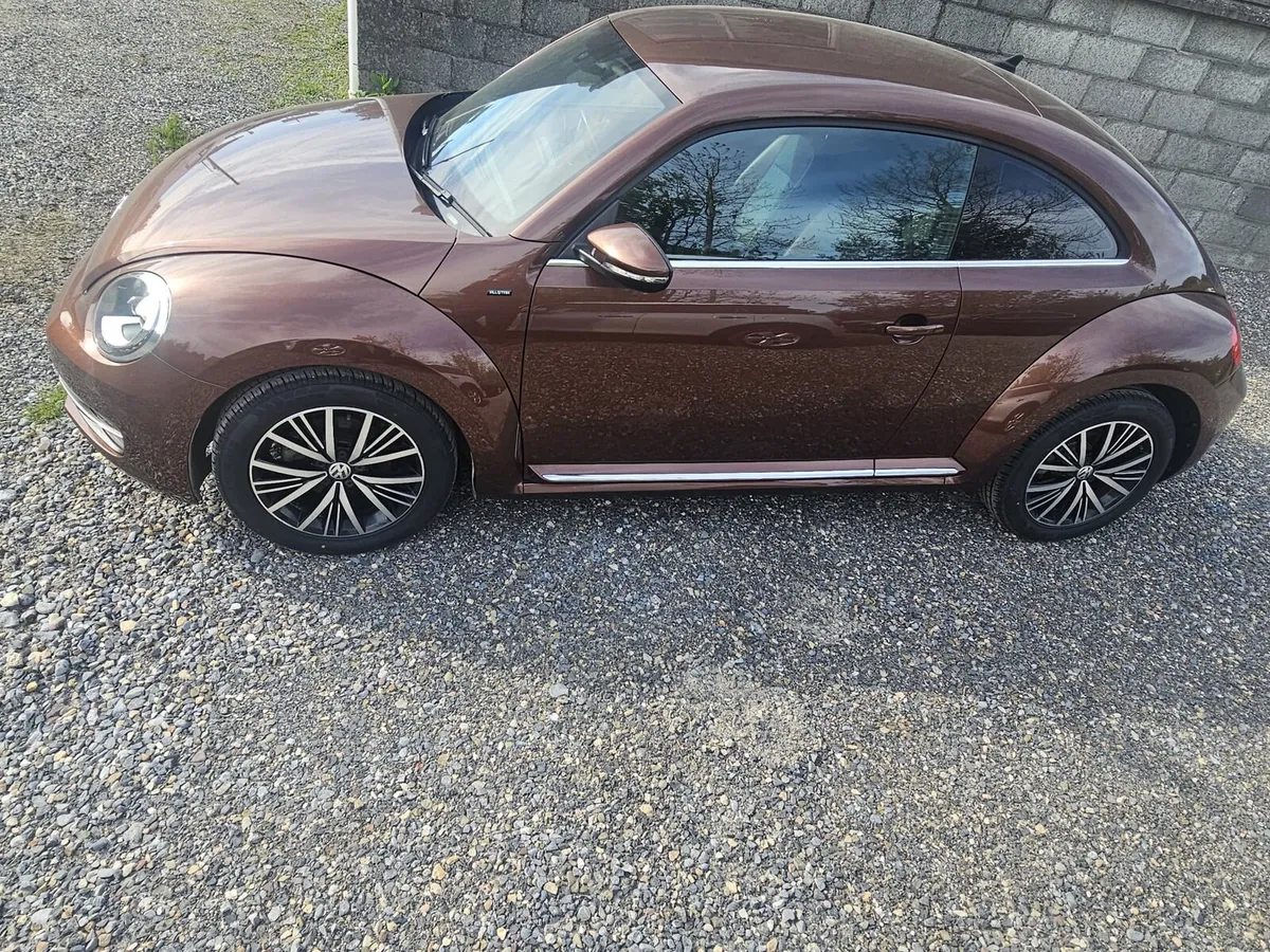 Volkswagen Beetle - Image 3