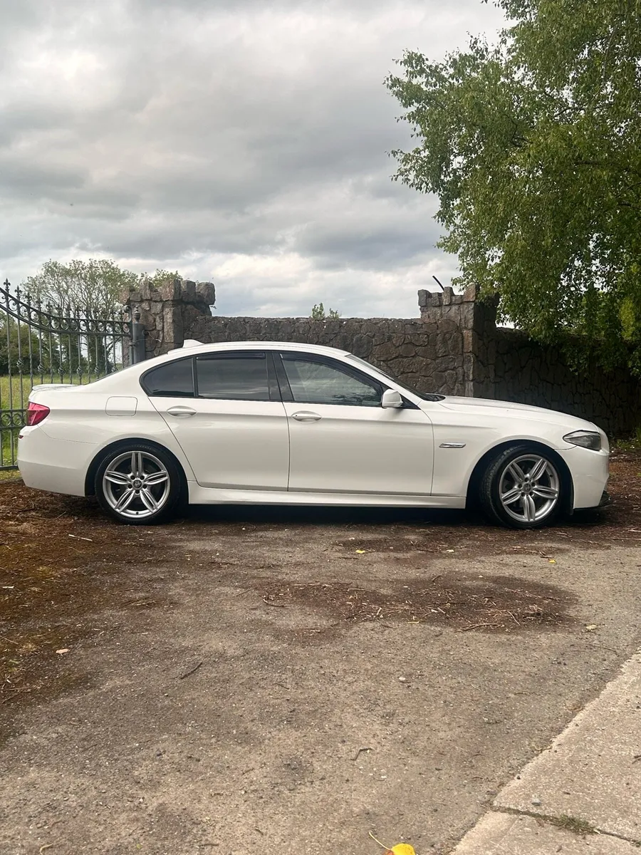 BMW 520d M Sport Plus Alpine White - Image 3