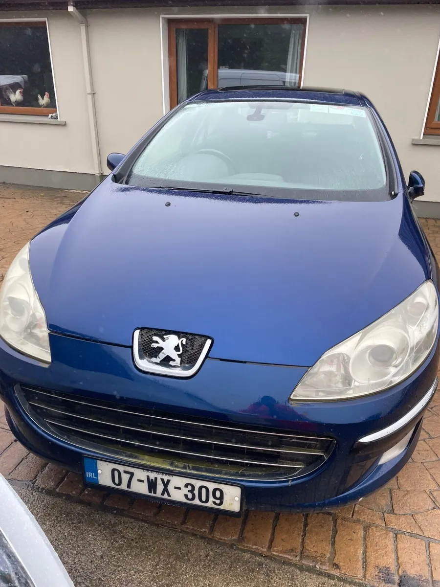 Peugeot 407 2007 - Image 1