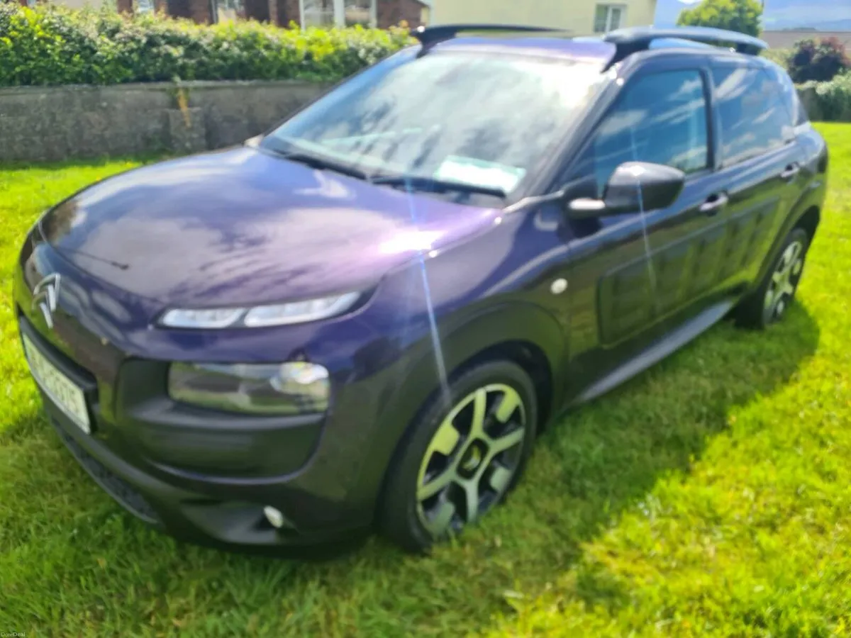 181 Citreon Cactus C4 - Image 3