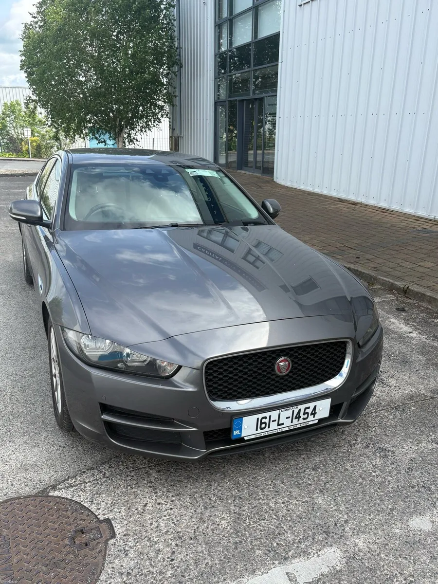 Jaguar - Image 1