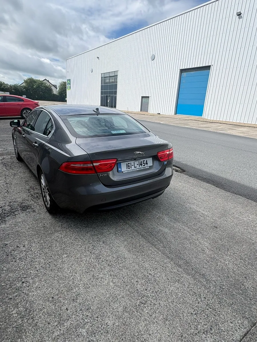 Jaguar - Image 3
