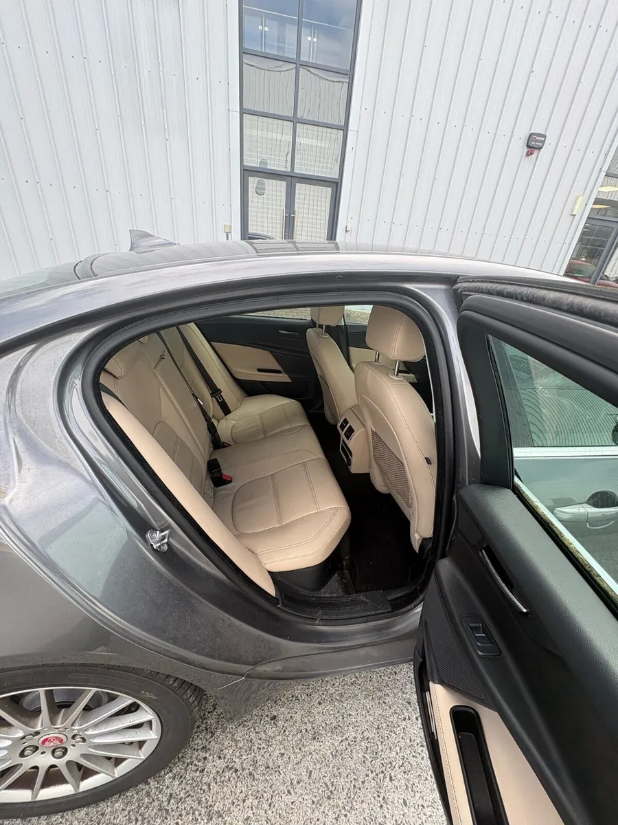 Jaguar - Image 4