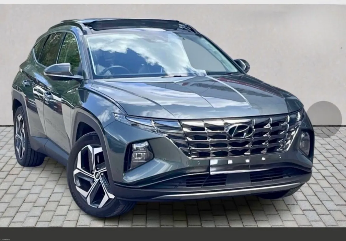 Hyundi Tuson Ultimate PHEV 1:6 - Image 1