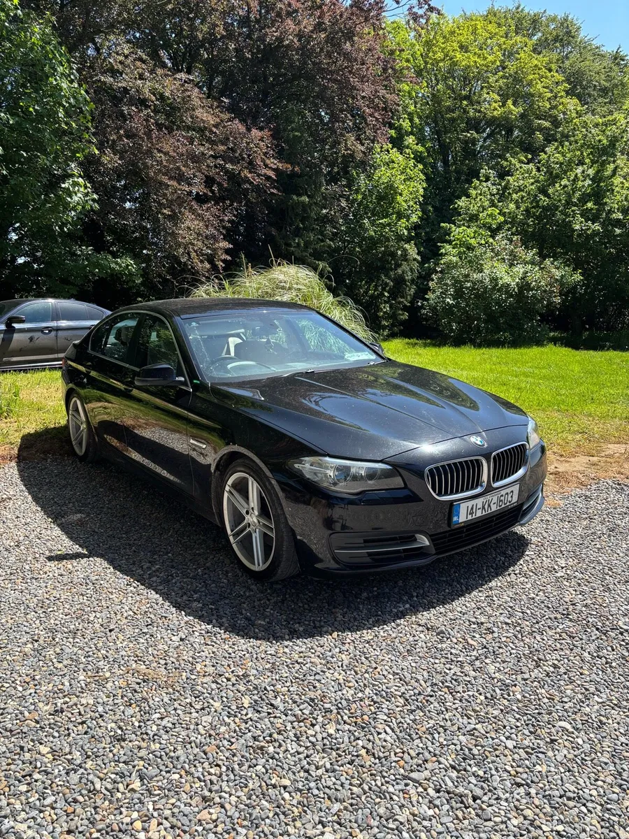 BMW 518d - Image 3