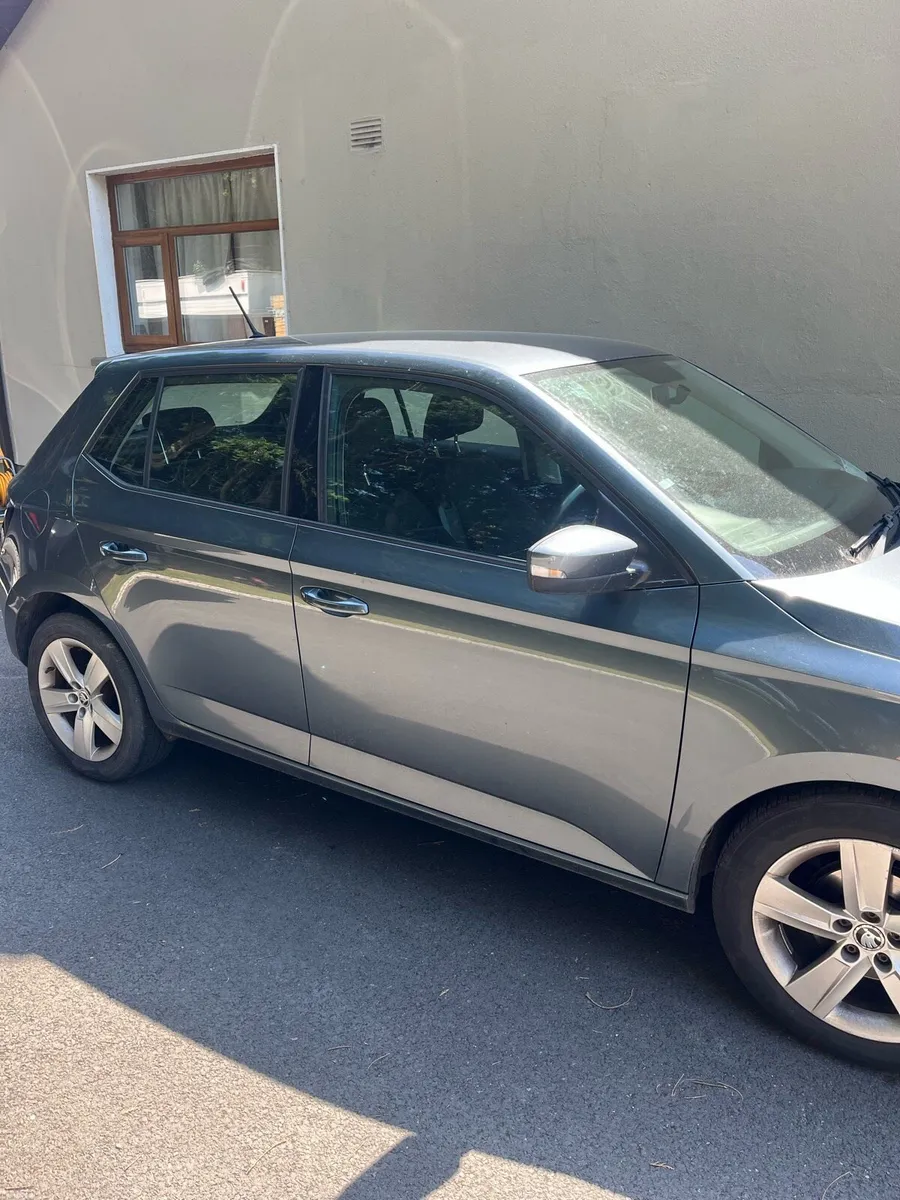 Scodia fabia - Image 2