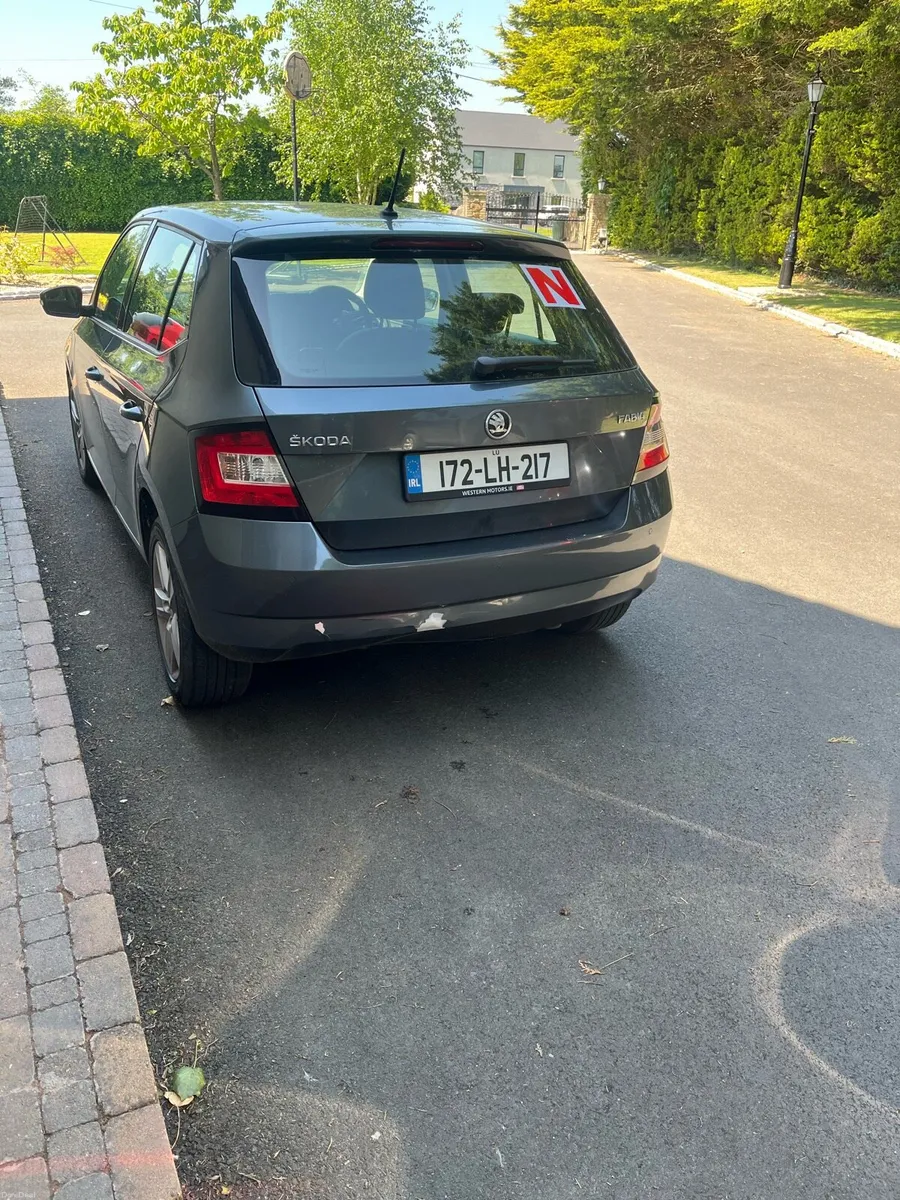 Scodia fabia - Image 4
