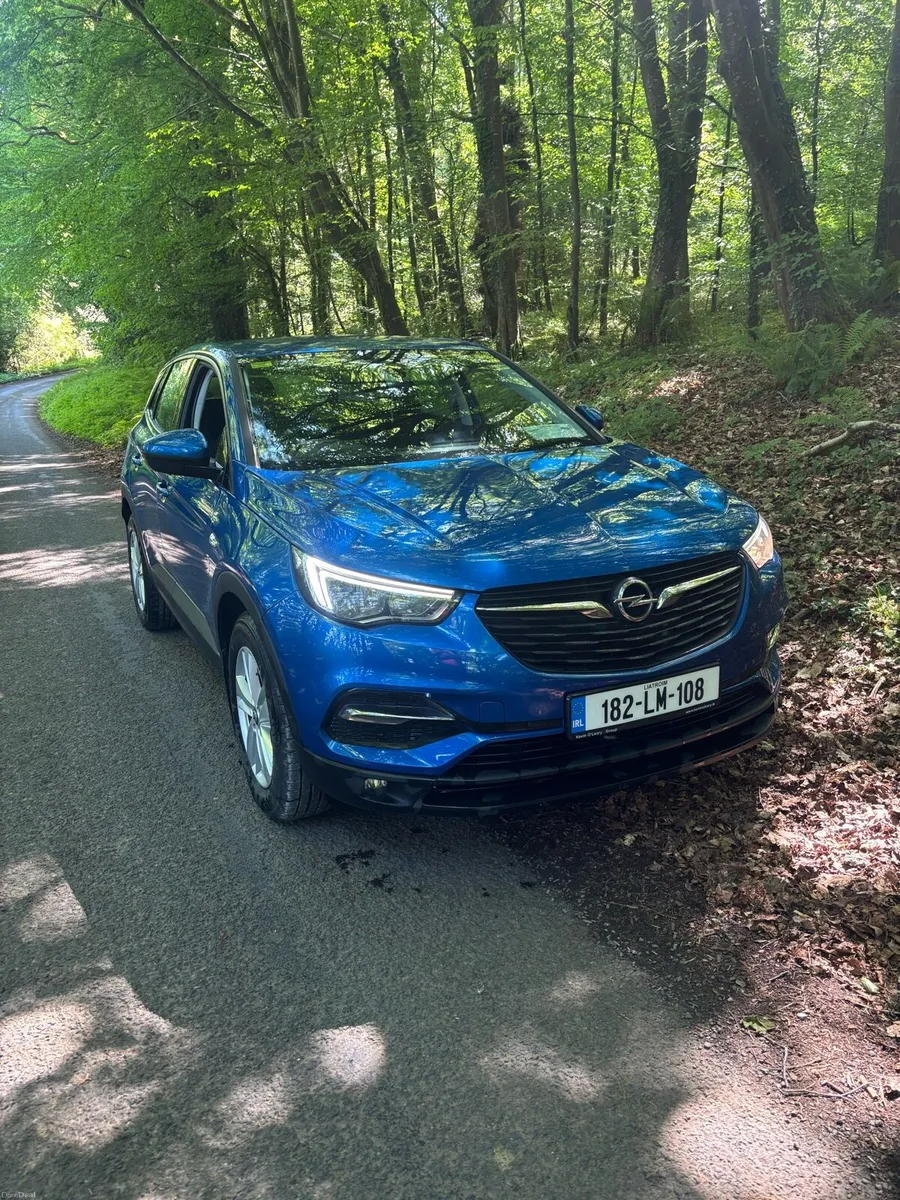 Opel grandland - Image 1