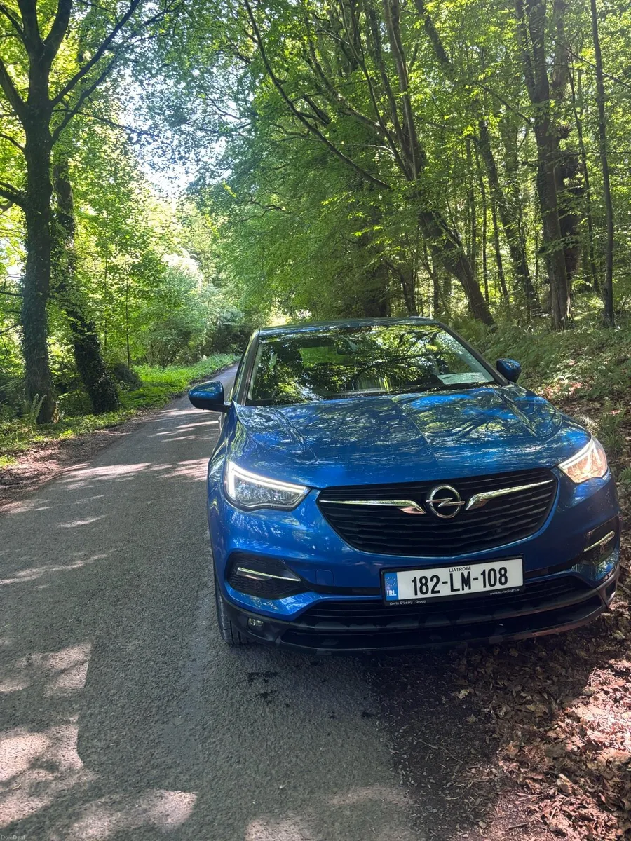 Opel grandland - Image 3