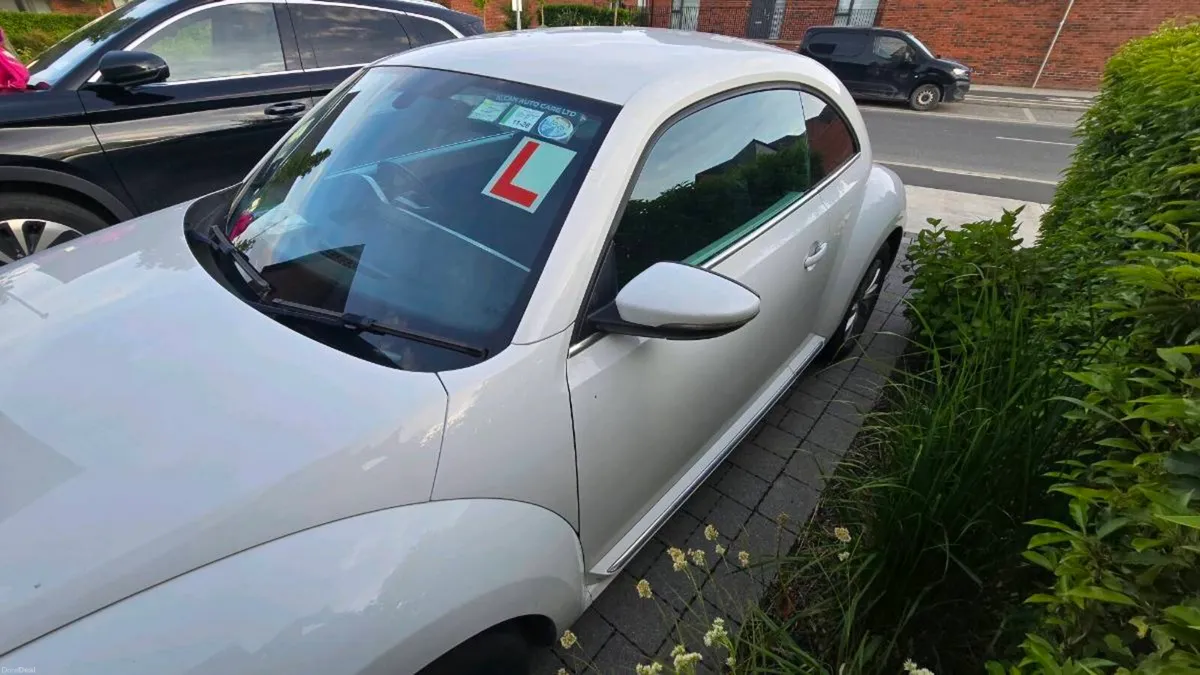 VW Beetle - Image 3