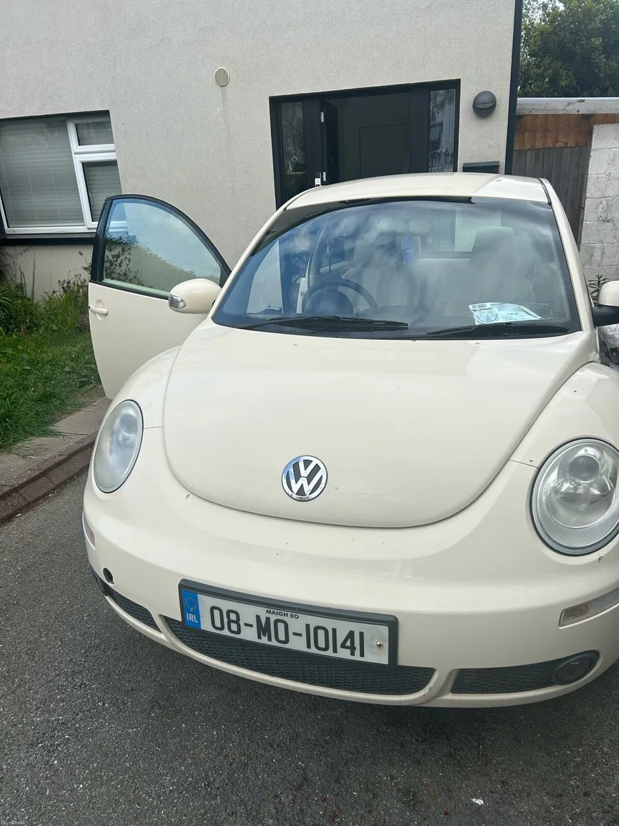 VW Beetle - Image 1